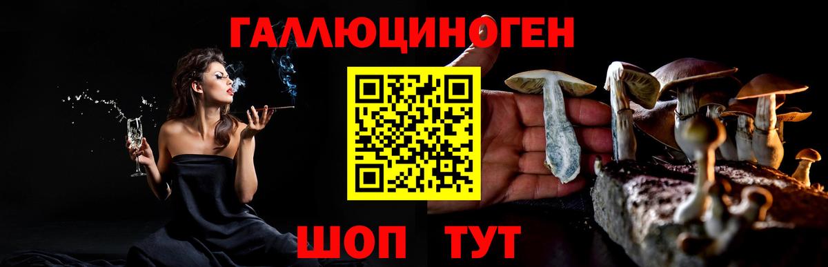 Галлюциногенные грибы Magic Shrooms Ярославль
